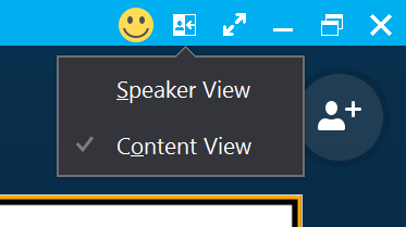 speaker or gallery view on mac skype for business